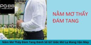 nam-mo-thay-dam-tang-danh-so-gi